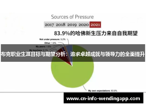 布克职业生涯目标与期望分析：追求卓越成就与领导力的全面提升