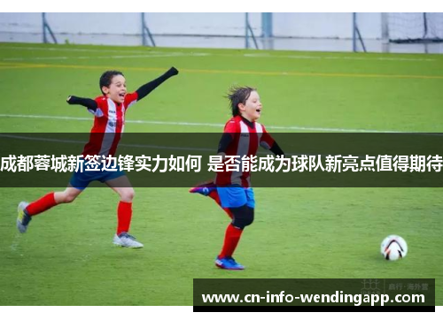 成都蓉城新签边锋实力如何 是否能成为球队新亮点值得期待