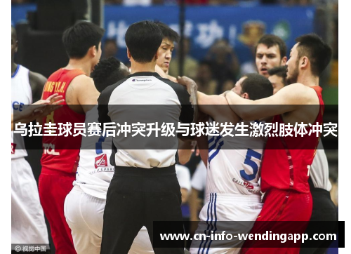 乌拉圭球员赛后冲突升级与球迷发生激烈肢体冲突