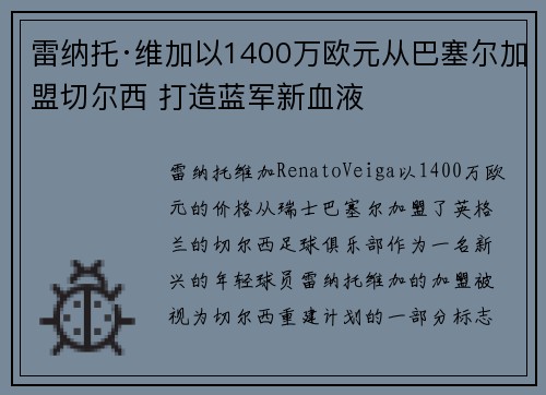 雷纳托·维加以1400万欧元从巴塞尔加盟切尔西 打造蓝军新血液